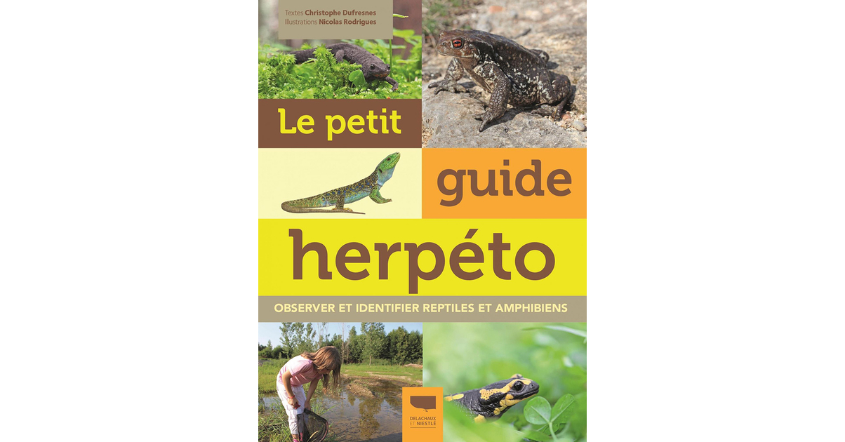 Le Petit Guide Herp To Faune Livres Amphibiens Et Reptiles Maunakea